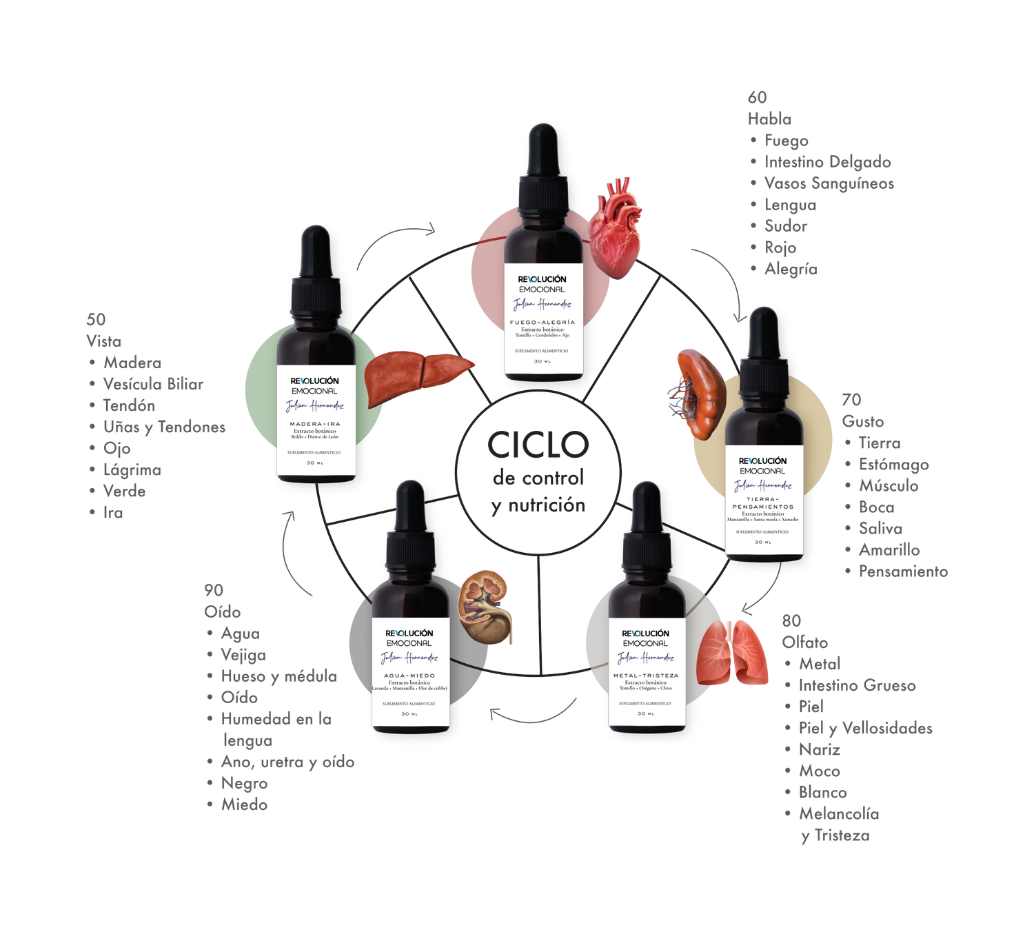 Ciclo de control y nutrición: cinco goteros alrededor del círculo — Madera (hígado), Fuego (corazón), Tierra (bazo), Metal (pulmón) y Agua (riñón) — con sus correspondencias.